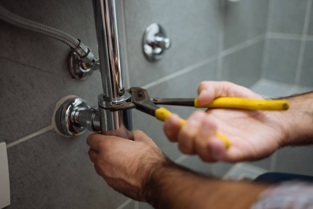 Marlette, MI Plumbing Pros